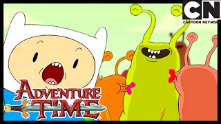 Amor Lento | Hora de Aventura Brasil | Cartoon Network 🇧🇷