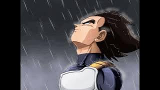 sapiendream - past live