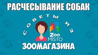 видео Фурминатор для собак: как выбрать расческу, как работает