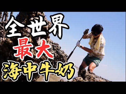 你知道?全世界最大在金門，生男孩靠他