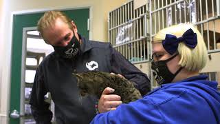 Nevada Humane Society