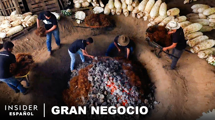 ¿Podrá el Toddy, Licor Exclusivo de la India, Convertirse en el Próximo Mezcal? | Gran Negocio