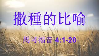 馬可福音 4:1-20 ~ 撒種的比喻