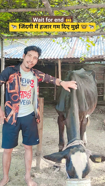 w8 5end 🚀#newcomedy #trending #funny #satywrox #poluparimal ￼ 🤓🐄🙋