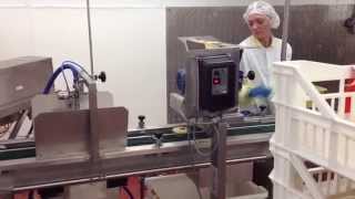 PIE MACHINE - John Hunts 7 Station Auto Champion making fruit pies.