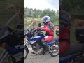 Deer Stays Calm as Motorbikes Pass! 😳🦌 Unexpected Moment