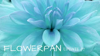 Flowerpan, Update #7