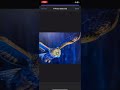 Rotate & Flip Photos Online Free 🔥