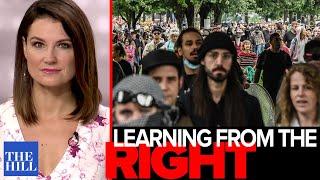 Krystal Ball What The Populist Left Could Learn From Right-Wing Protesters