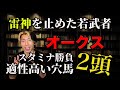 雷神を止めた若武者とオークスの穴馬候補【長距離適性を見込まれた戦績】