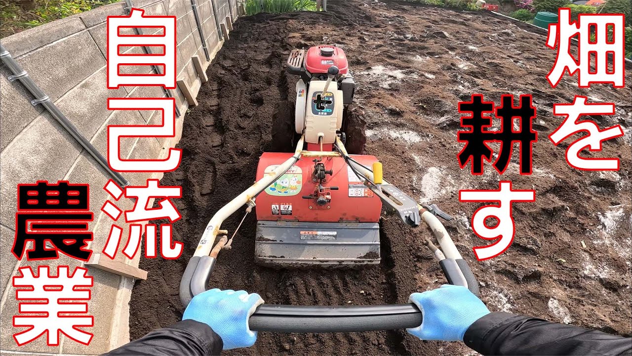 建築屋の農業】80㎡24坪の家庭菜園を耕耘機を使って耕していきます