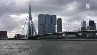 Westerstorm Omgewaaide Bomen En Zware Windstoten