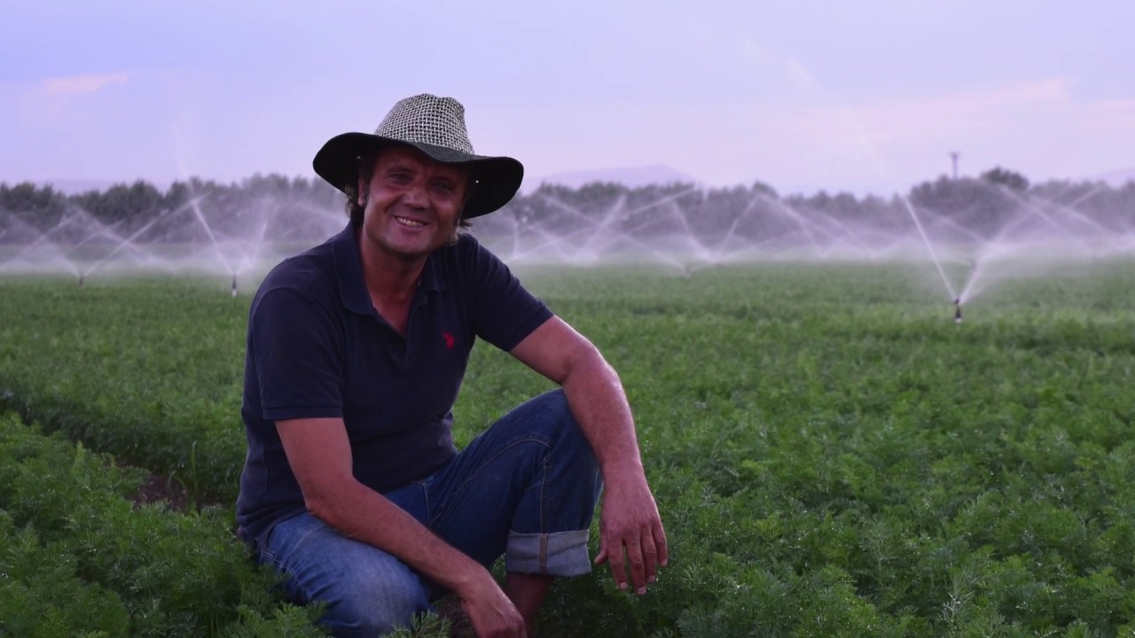 Jain 5022 SD Sprinkle Havuç Sulama