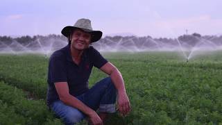 Jain 5022 Sd Sprinkle Havuç Sulama