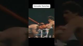 Salvador Sanchez Mexican Legend! #boxing #sports #shorts