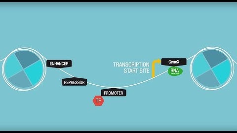 Dr. Jason Buenrostro Discusses What Drove Him to Develop ATAC-Seq