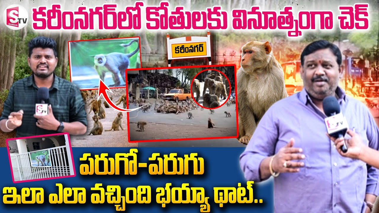 కరీంనగర్ లో కోతులకు వినూత్నంగా చెక్ .. ||Monkeys Hulchal In Karimnagar @SumanTVKarimnagar