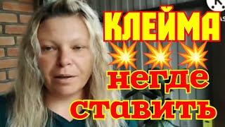 Мы родились в Сибири /Раскатали губу/Клейма негде ставить/Обзор Влогов /Мы родились в Сибири life /