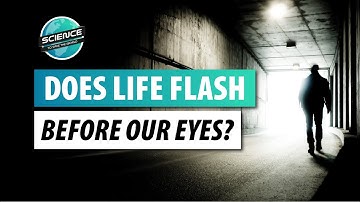 Consciousness in the Dying Brain - Science of Near-Death Experiences