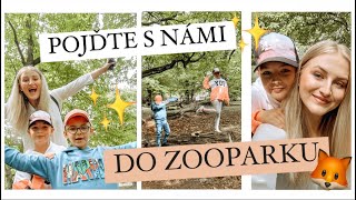 VLOG | VYRAŽTE S NÁMI DO ZOOPARKU!🦊🐻🌲