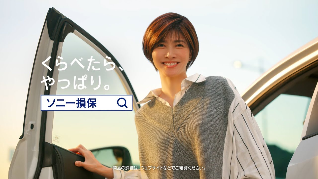 ソニー 損保 cm