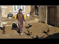 Afghanistan Village Life: زندگی در روستا های افغانستان