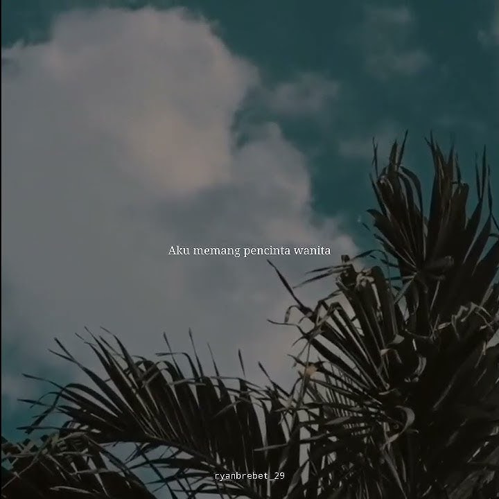 Story wa || Pecinta Wanita - Irwansyah #shorts #shortsbeta #short #storywa