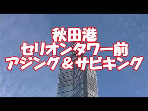 秋田市セリオンタワー前でアジング サビキング Youtube 秋田市セリオンタワー前でアジング サビキング Youtube