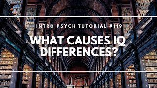 What Causes IQ Differences? (Intro Psych Tutorial #119)