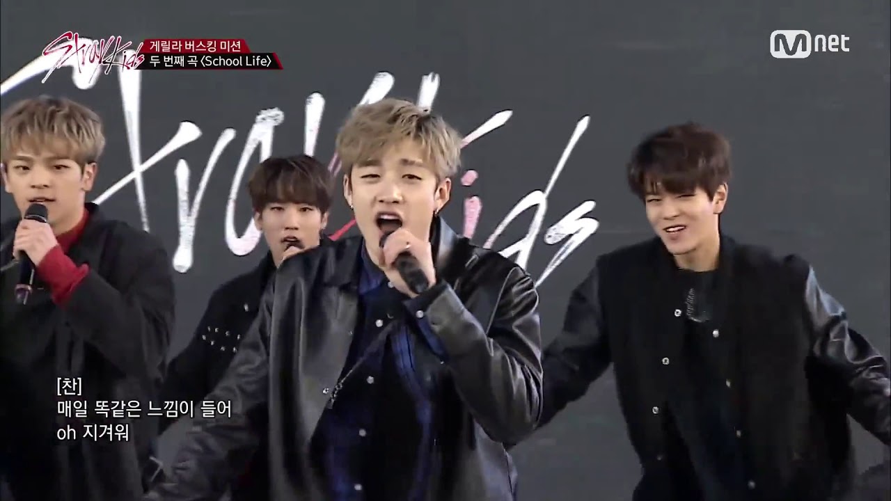 [Stray Kids] Protecting Minho