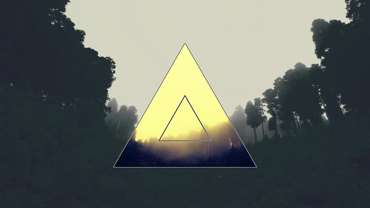 Лес в треугольнике