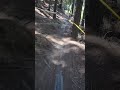 this Loam section of Bridges is awesome ... but the root always caught me out . got it clean today