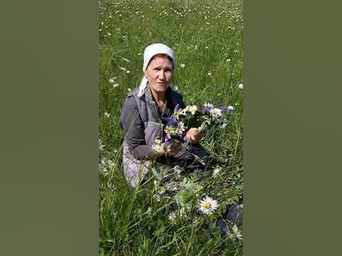 Литературные дневники / hypnomarketing.ru