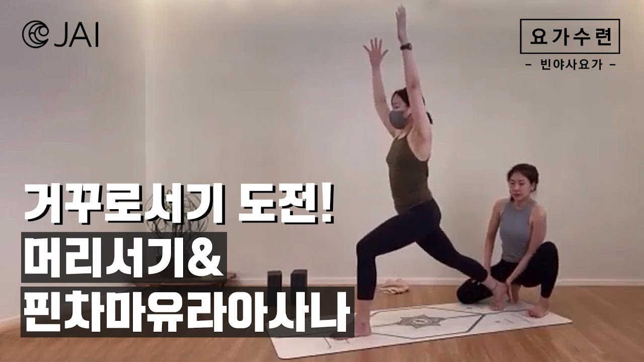 거꾸로서기 도전! 머리서기, 핀차마유라아사나 l 빈야사요가 l 일일 요가 수련 l 자이요가명상