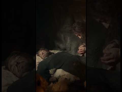 شاهد أرطغرل يهلوس ب حليمة بسبب جروحه