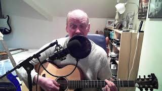 Video thumbnail of "Hold Me Now - Thompson Twins acoustic cover"