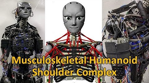 Self-Body Image Acquisition with Redundancy of Shoulder Complex (RA-L 2021)