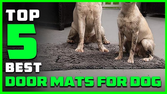 5 Best Doormats for Dogs 2023: Top Dog Mats for Muddy Paws