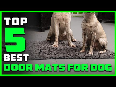 10 Best Indoor Door Mats for Dogs