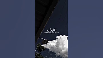 حالات دينيه//تلاوة هادئة//القرآن الكريم//القارئ خالد الجليل #قرآن #القرآن_الكريم #قران_شاشة_سوداء