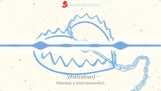 Montez - weltrekord (ft. instrumentiLL) - with a beat