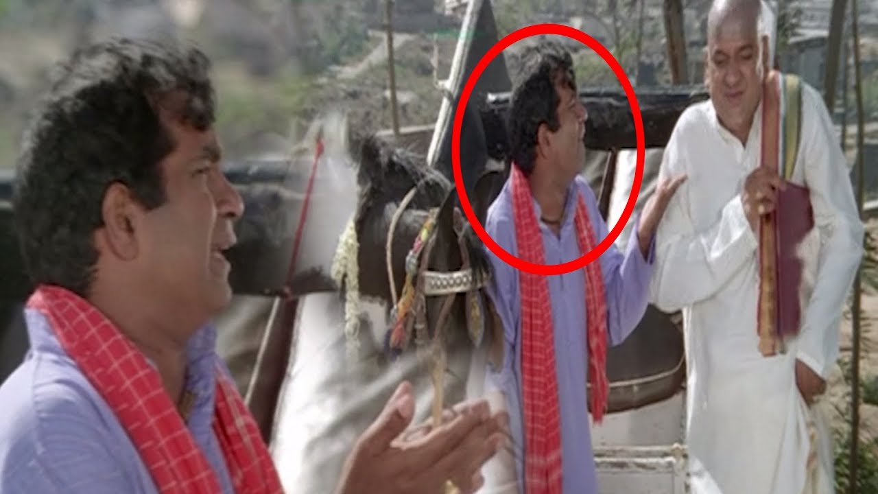 Brahmanandam Extraordinary Comedy With AVS | Brahmanandam Comedy Scenes || TFC Telugu Cinemalu