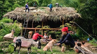 Finishing Our Wooden House | Caring for Rescued Animals | Single Mom Survival |LySoan Daily
