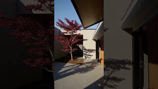 Minimalist Courtyard Design Red Maple & Concrete Modern Home Insideoutdesign