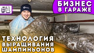 #1 Выращивание Шампиньонов | Загрузка | Тех Карта