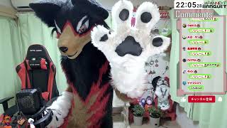 【fursuit/獣化#122】水曜のもふもふタイム🐾【ジュージュー/JuuJuu】#fursuit #獣化 #live