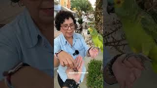 Gegeu Foi Surpreendido