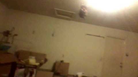 MONO-PHAN ™ 1 - AMAZING STABILIZATION AND CONTROL