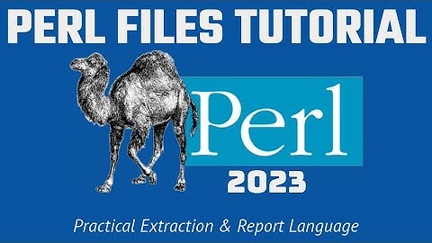 Perl Beginners - (7 ESSENTIAL FILE METHODS) Tutorial 2023