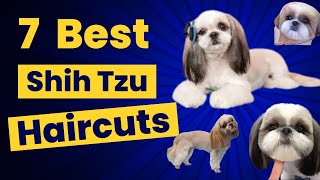 7 Popular SHIH TZU Haircuts